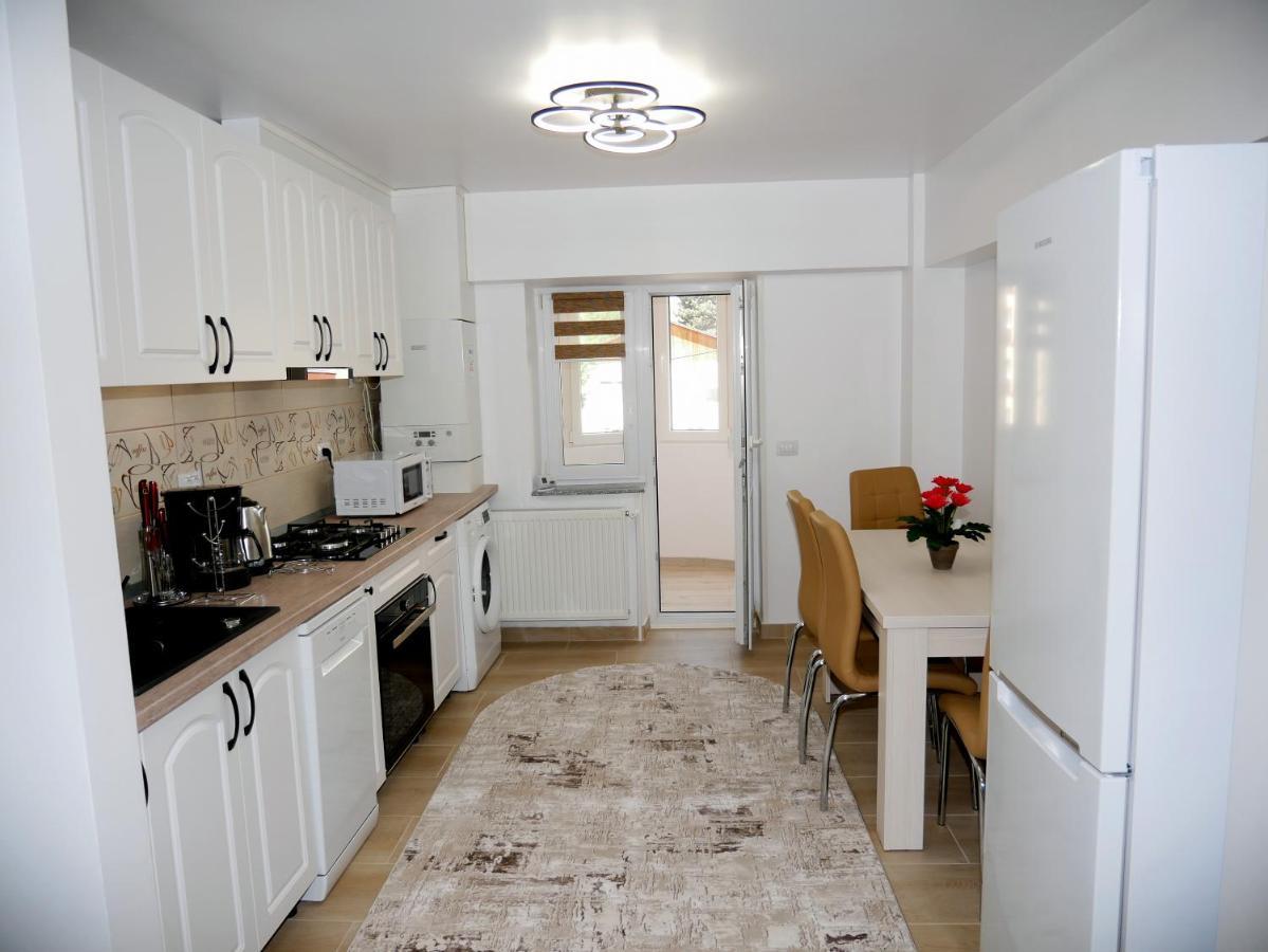 Apartament David Câmpulung Moldovenesc Εξωτερικό φωτογραφία