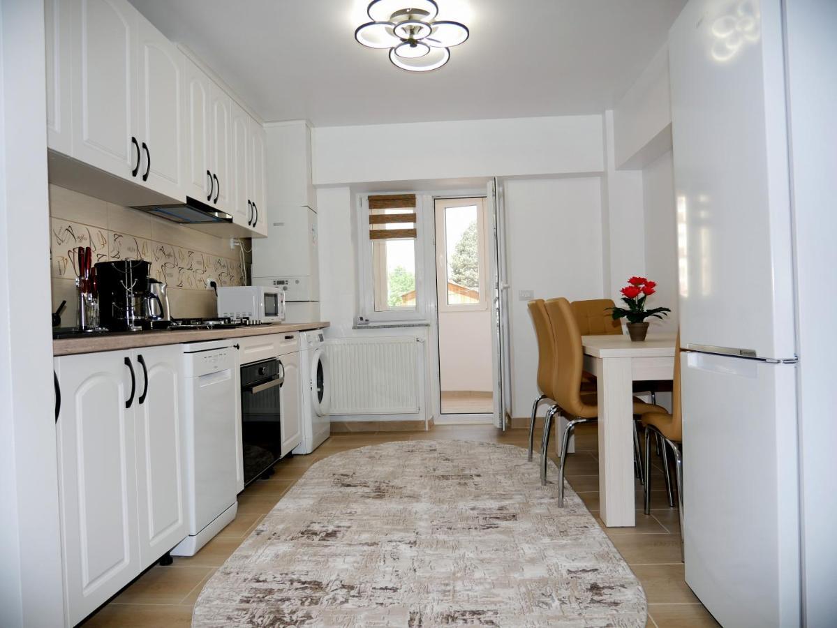 Apartament David Câmpulung Moldovenesc Εξωτερικό φωτογραφία